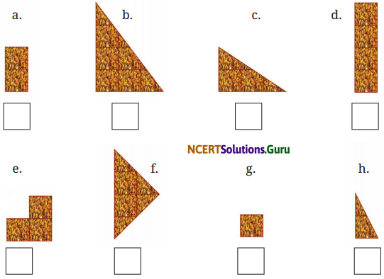 Fractions Diagram 3