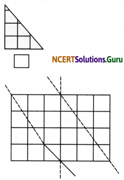 Fractions Diagram 5