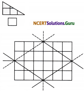 Fractions Diagram 6