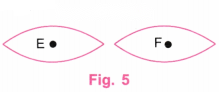 Playing with Constructions Diagram 21