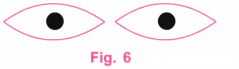 Playing with Constructions Diagram 22