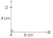 Playing with Constructions Diagram 31