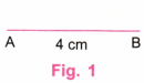 Playing with Constructions Diagram 4