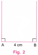 Playing with Constructions Diagram 5