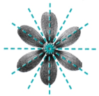 Symmetry Diagram 1