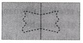 Symmetry Diagram 14