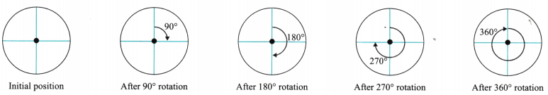 Symmetry Diagram 43