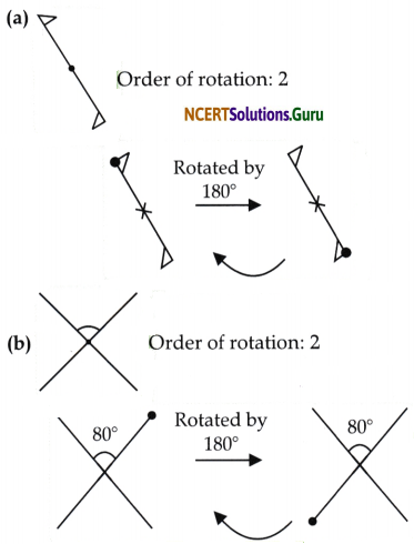 Symmetry Diagram 51