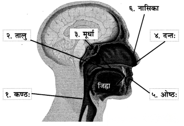Class 6 Sanskrit Chapter 1 Diagram 11