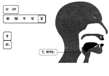 Class 6 Sanskrit Chapter 1 Diagram 13