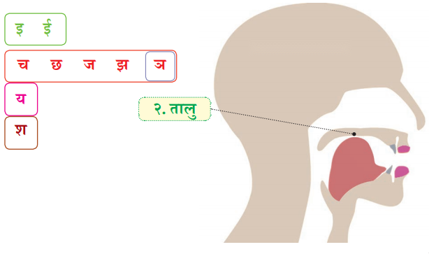Class 6 Sanskrit Chapter 1 Diagram 14