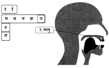 Class 6 Sanskrit Chapter 1 Diagram 15