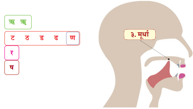Class 6 Sanskrit Chapter 1 Diagram 16