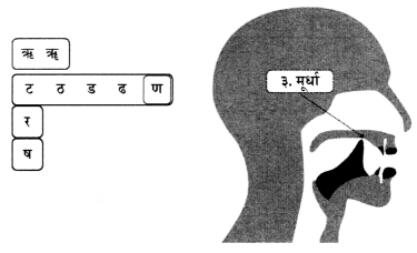 Class 6 Sanskrit Chapter 1 Diagram 17