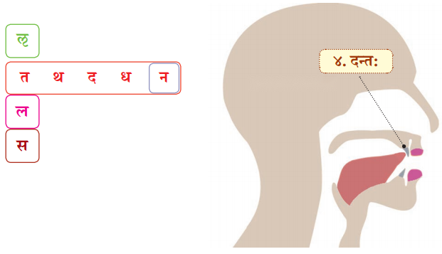 Class 6 Sanskrit Chapter 1 Diagram 18