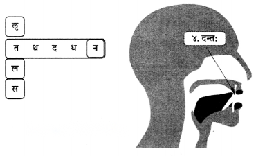 Class 6 Sanskrit Chapter 1 Diagram 19