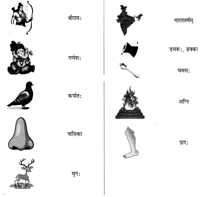 Class 6 Sanskrit Chapter 1 Diagram 2