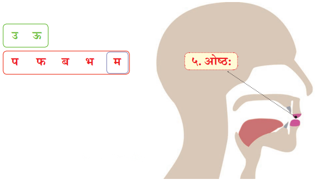 Class 6 Sanskrit Chapter 1 Diagram 20