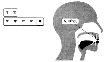 Class 6 Sanskrit Chapter 1 Diagram 21