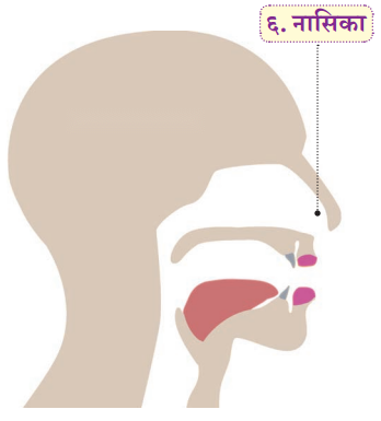 Class 6 Sanskrit Chapter 1 Diagram 22