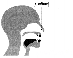 Class 6 Sanskrit Chapter 1 Diagram 23