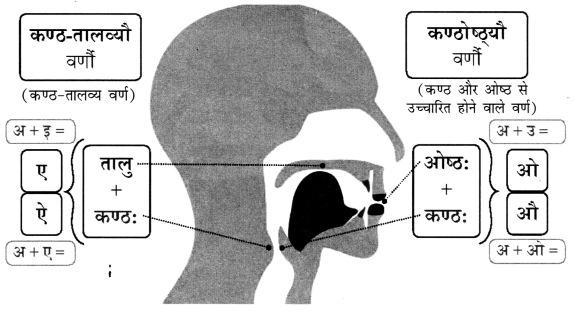 Class 6 Sanskrit Chapter 1 Diagram 25