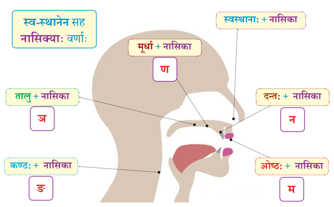 Class 6 Sanskrit Chapter 1 Diagram 26
