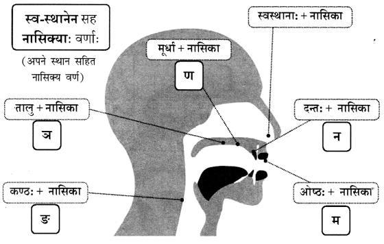 Class 6 Sanskrit Chapter 1 Diagram 27