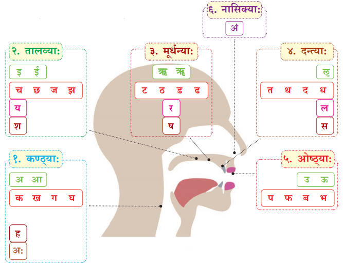Class 6 Sanskrit Chapter 1 Diagram 30