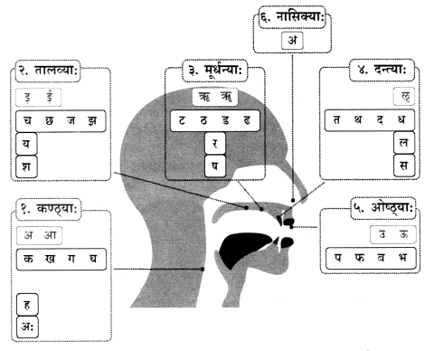 Class 6 Sanskrit Chapter 1 Diagram 31