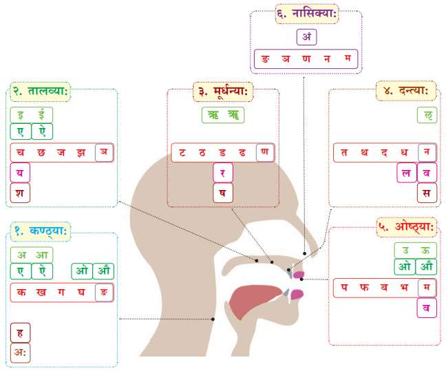 Class 6 Sanskrit Chapter 1 Diagram 32