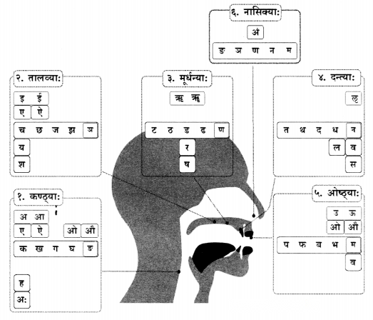 Class 6 Sanskrit Chapter 1 Diagram 33