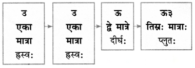 Class 6 Sanskrit Chapter 1 Diagram 35