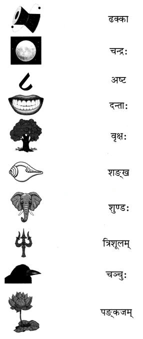 Class 6 Sanskrit Chapter 1 Diagram 4