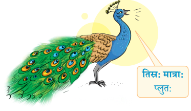 Class 6 Sanskrit Chapter 1 Diagram 40