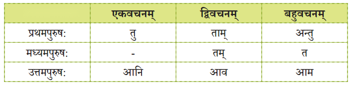 Class 6 Sanskrit Chapter 10 Diagram 15