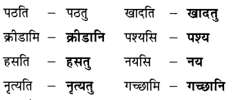 Class 6 Sanskrit Chapter 10 Diagram 4