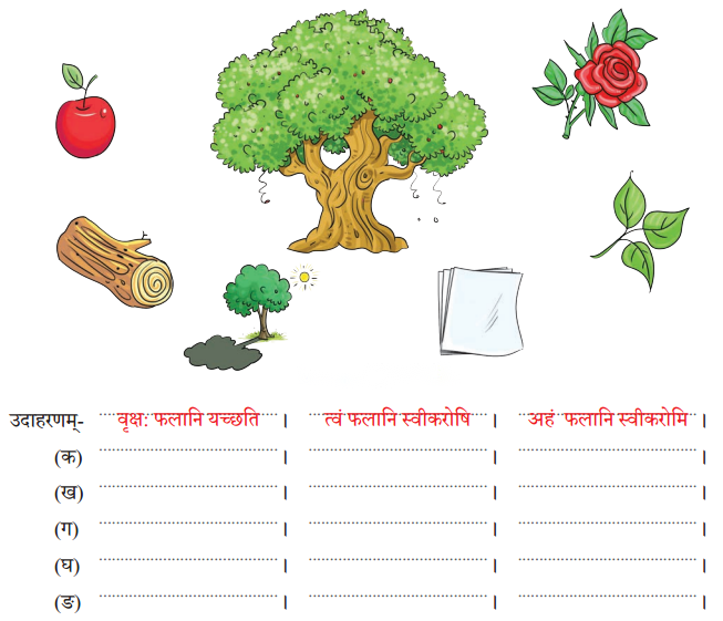 Class 6 Sanskrit Chapter 11 Diagram 1