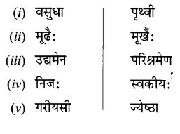 Class 6 Sanskrit Chapter 11 Diagram 12