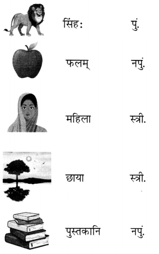 Class 6 Sanskrit Chapter 11 Diagram 4