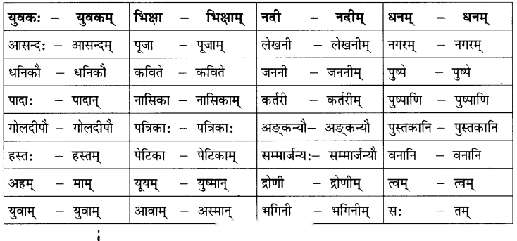Class 6 Sanskrit Chapter 12 Diagram 14
