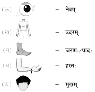 Class 6 Sanskrit Chapter 14 Diagram 2