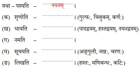 Class 6 Sanskrit Chapter 14 Diagram 5