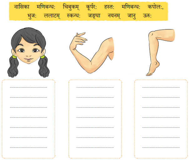Class 6 Sanskrit Chapter 14 Diagram 6