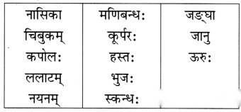 Class 6 Sanskrit Chapter 14 Diagram 7