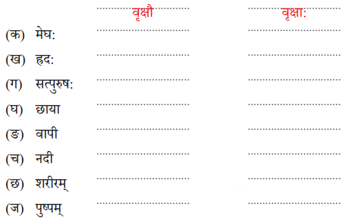 Class 6 Sanskrit Chapter 15 Diagram 4