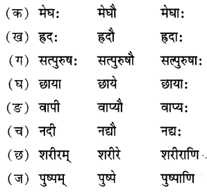 Class 6 Sanskrit Chapter 15 Diagram 5
