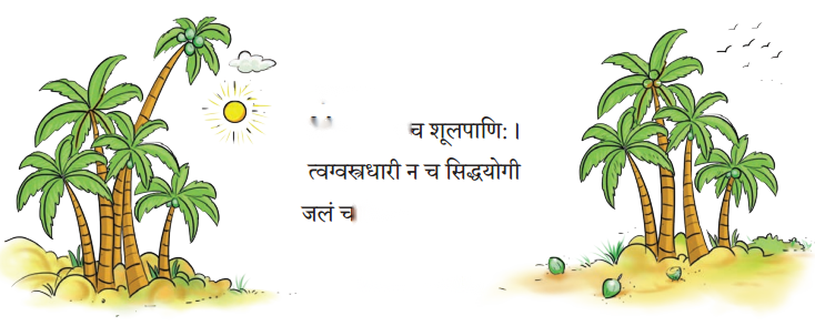 Class 6 Sanskrit Chapter 15 Diagram 8