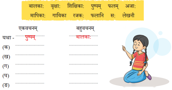 Class 6 Sanskrit Chapter 2 Diagram 11
