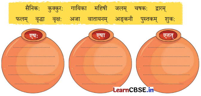 Class 6 Sanskrit Chapter 2 Diagram 12